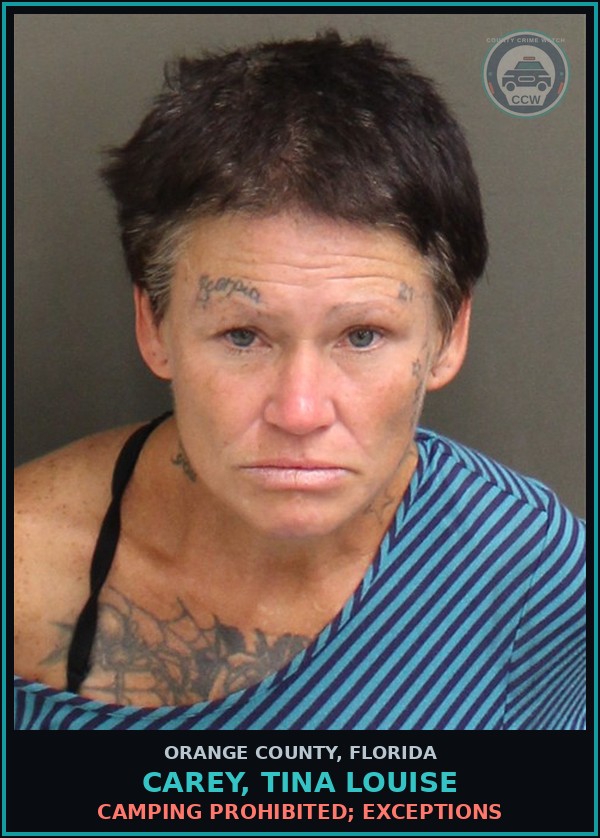 Booking mugshot of CAREY, TINA LOUISE in Orange County