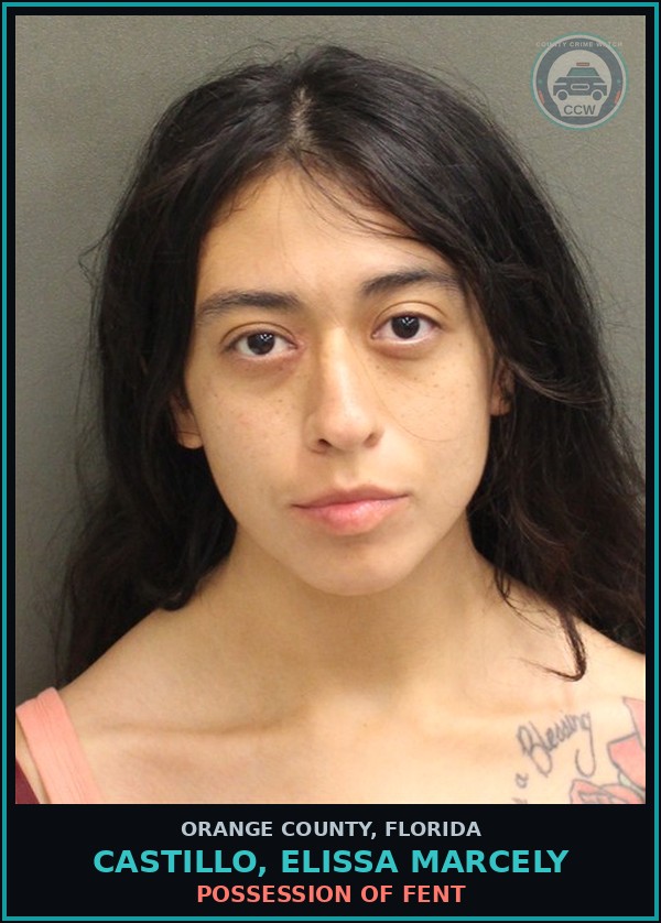 Booking mugshot of CASTILLO, ELISSA MARCELY in Orange County