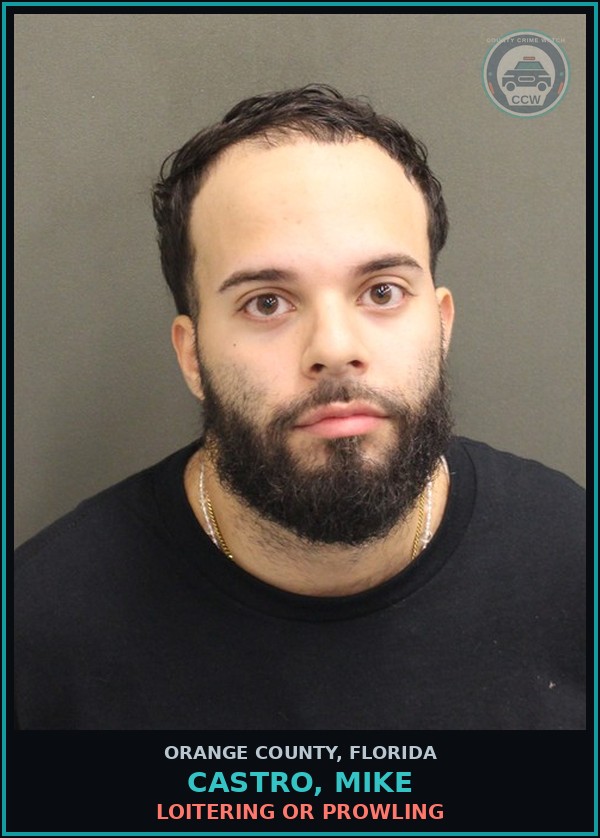 Booking mugshot of CASTRO, MIKE in Orange County