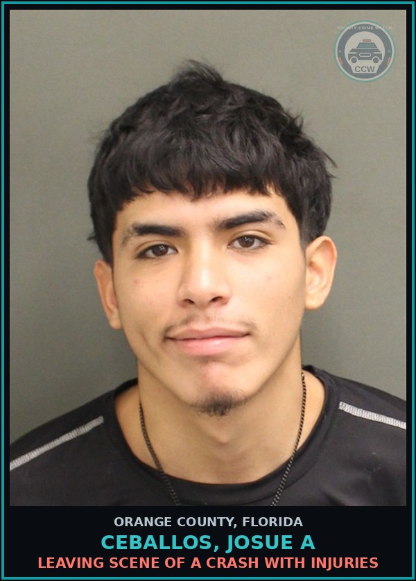 Booking mugshot of CEBALLOS, JOSUE A in Orange County