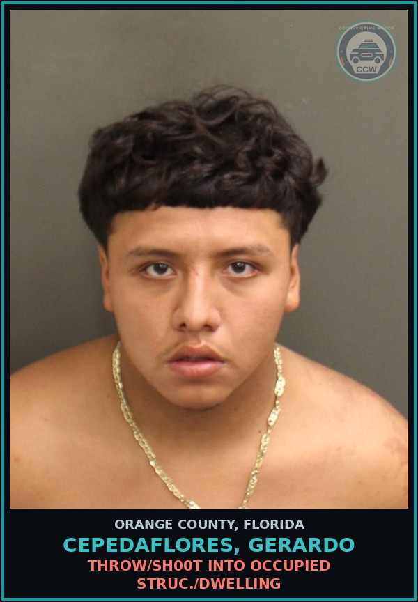Booking mugshot of CEPEDAFLORES, GERARDO in Orange County