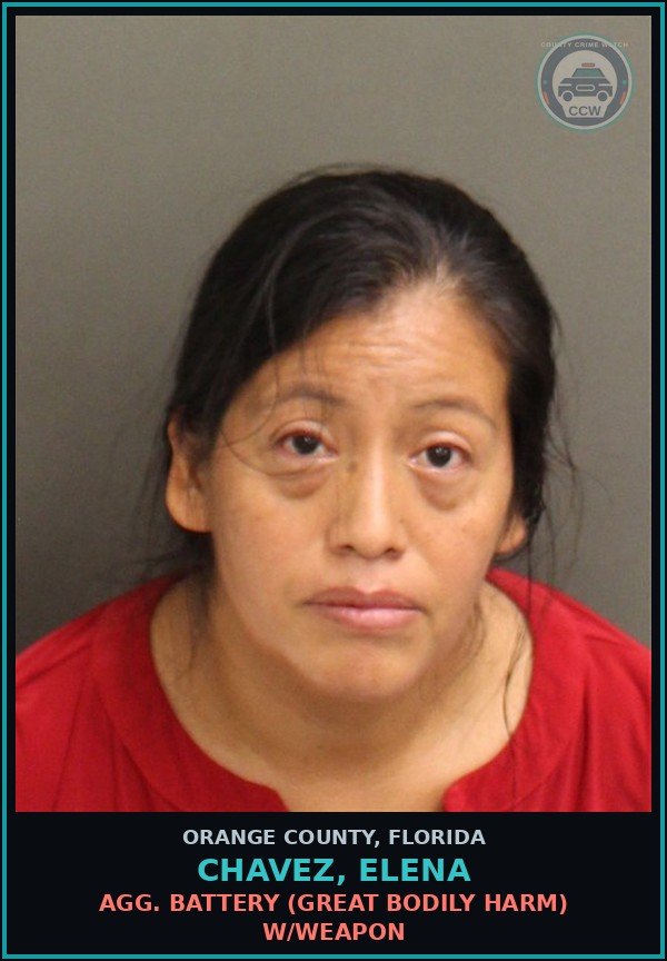 Booking mugshot of CHAVEZ, ELENA in Orange County