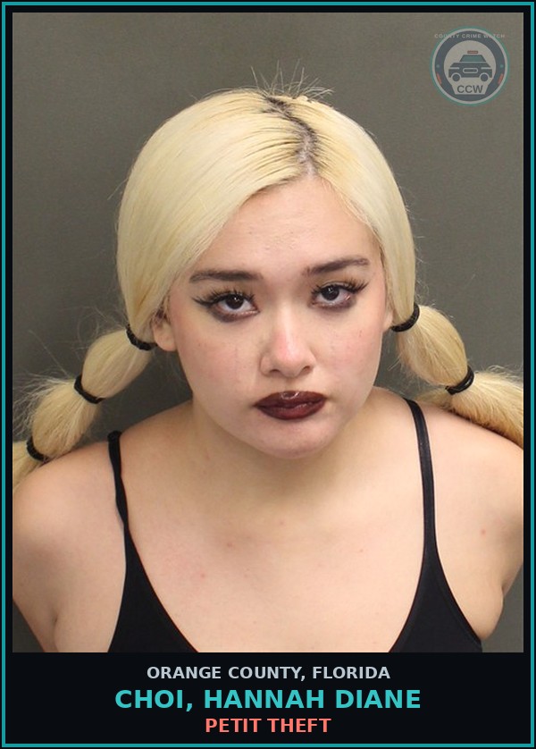 Booking mugshot of CHOI, HANNAH DIANE in Orange County