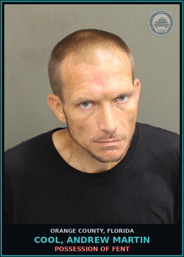 Booking mugshot of COOL, ANDREW MARTIN in Orange County