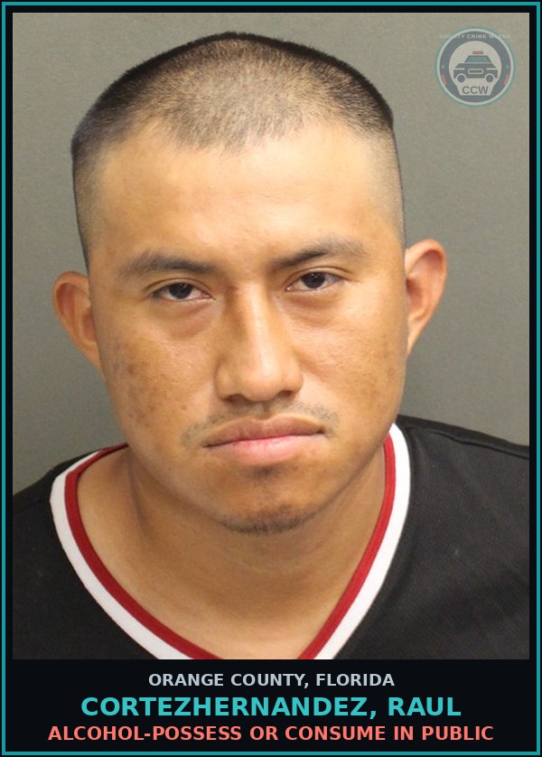 Booking mugshot of CORTEZHERNANDEZ, RAUL in Orange County