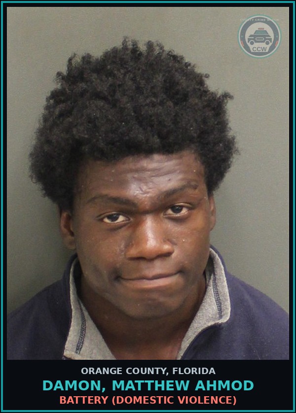 Booking mugshot of DAMON, MATTHEW AHMOD in Orange County
