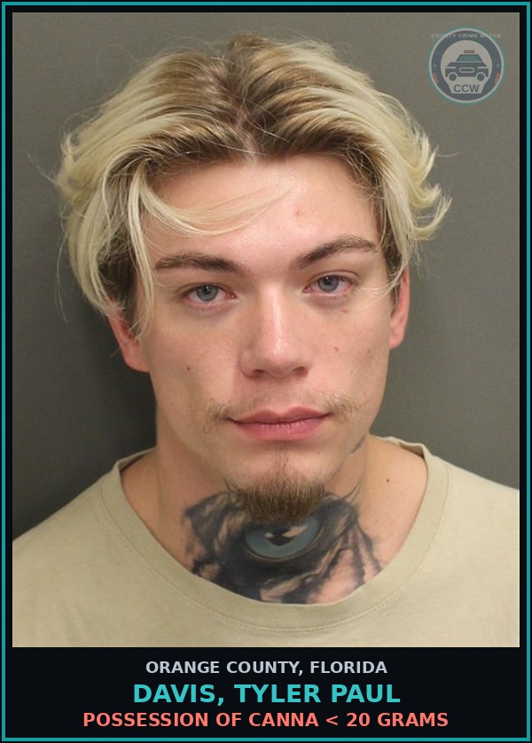 Booking mugshot of DAVIS, TYLER PAUL in Orange County