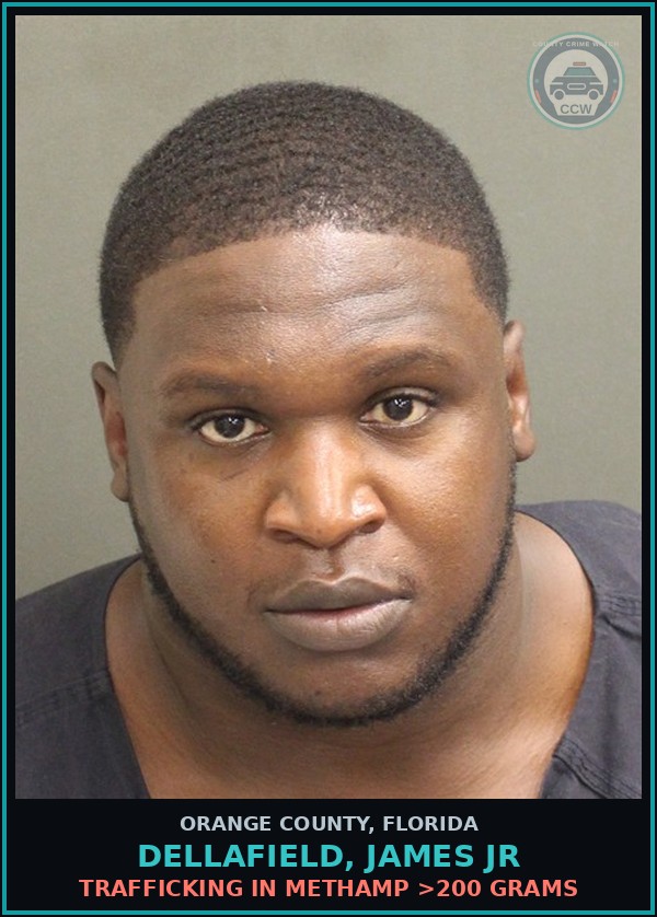 Booking mugshot of DELLAFIELD, JAMES JR in Orange County