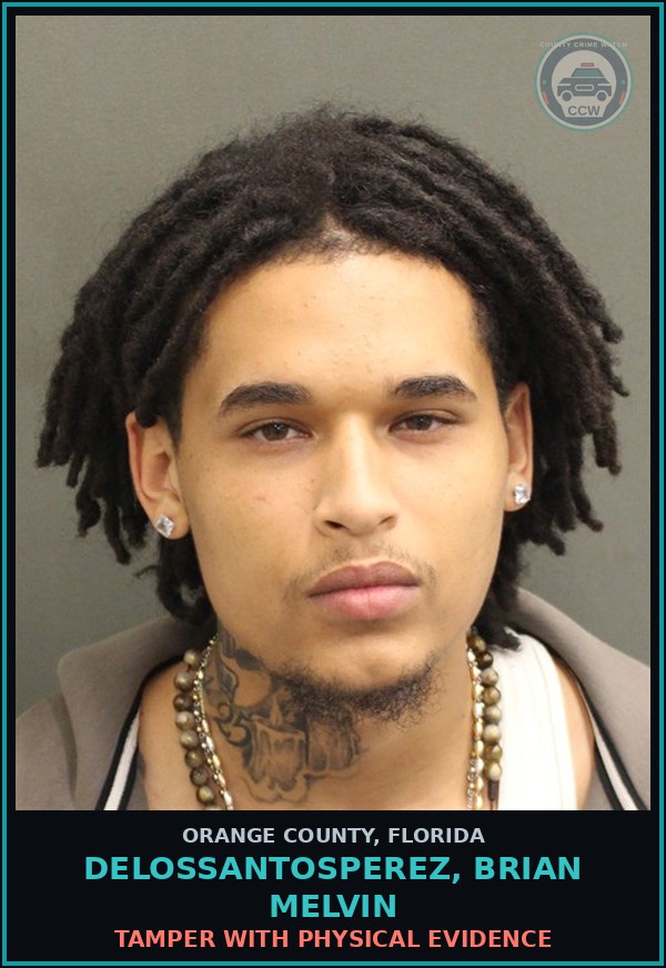 Booking mugshot of DELOSSANTOSPEREZ, BRIAN MELVIN in Orange County