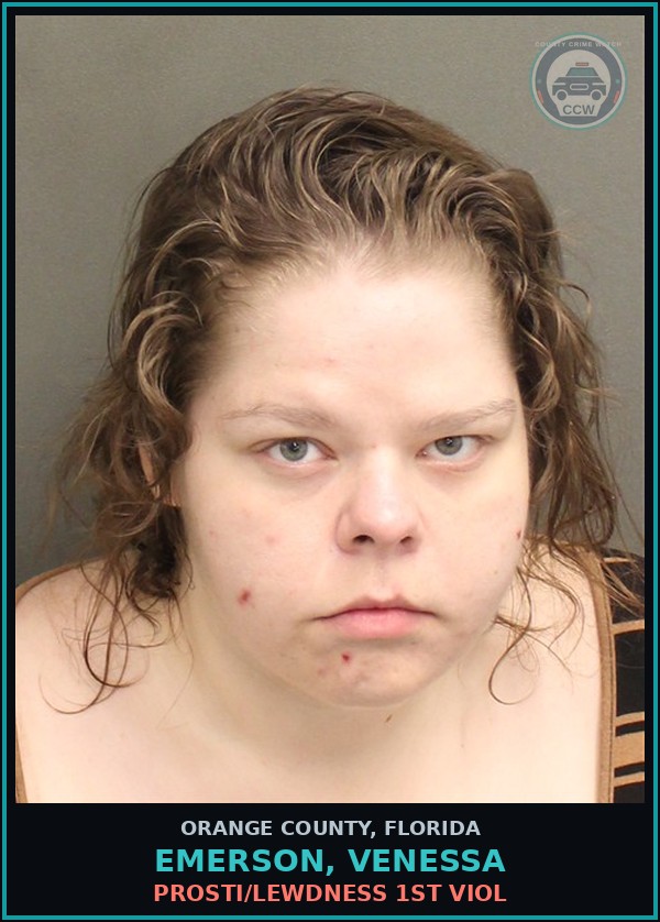Booking mugshot of EMERSON, VENESSA in Orange County