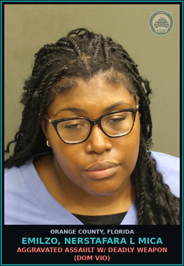 Booking mugshot of EMILZO, NERSTAFARA L MICA in Orange County