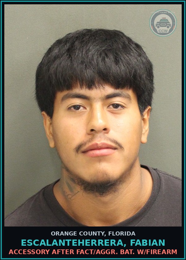 Booking mugshot of ESCALANTEHERRERA, FABIAN in Orange County