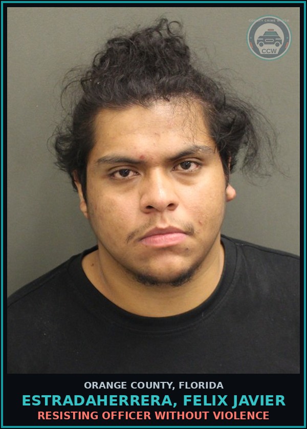 Booking mugshot of ESTRADAHERRERA, FELIX JAVIER in Orange County