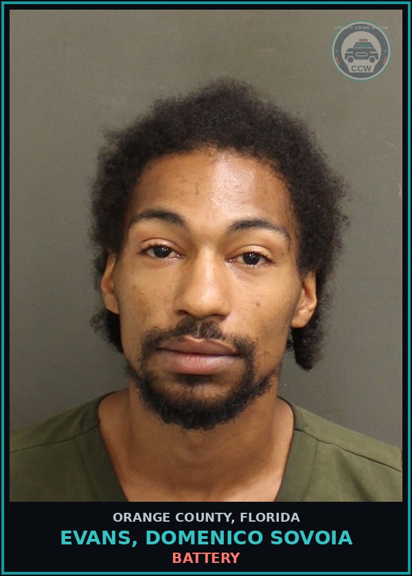 Booking mugshot of EVANS, DOMENICO SOVOIA in Orange County