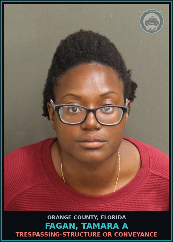 Booking mugshot of FAGAN, TAMARA A in Orange County
