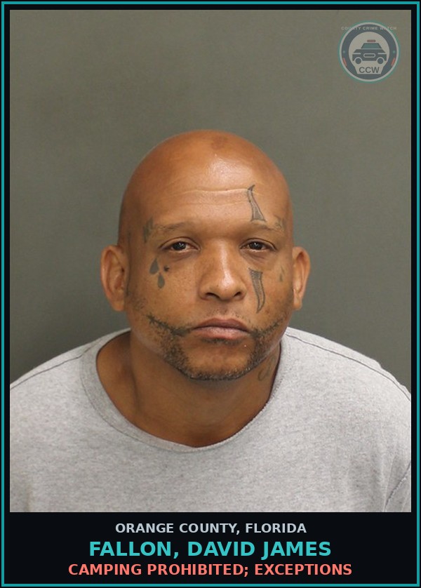 Booking mugshot of FALLON, DAVID JAMES in Orange County