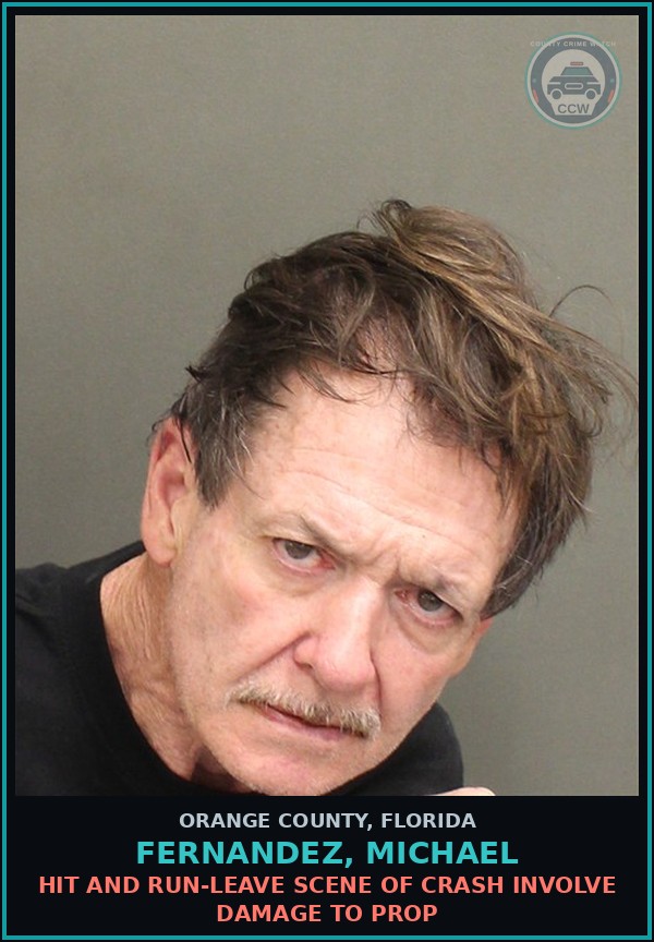 Booking mugshot of FERNANDEZ, MICHAEL in Orange County