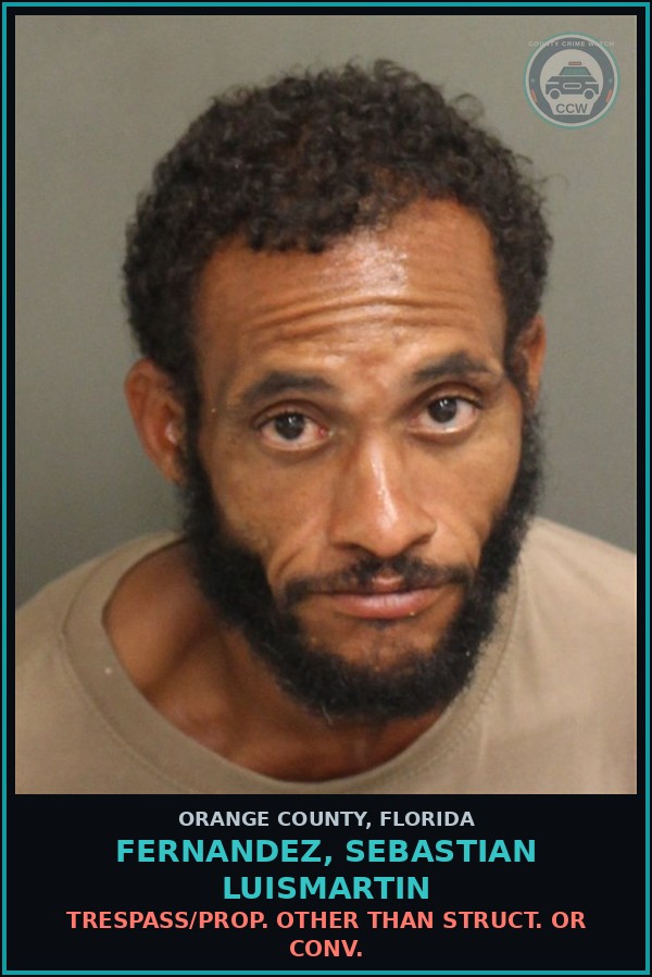 Booking mugshot of FERNANDEZ, SEBASTIAN LUISMARTIN in Orange County