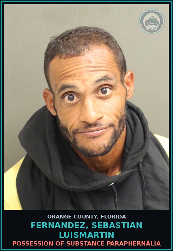 Booking mugshot of FERNANDEZ, SEBASTIAN LUISMARTIN in Orange County