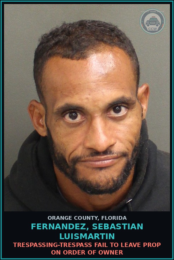 Booking mugshot of FERNANDEZ, SEBASTIAN LUISMARTIN in Orange County