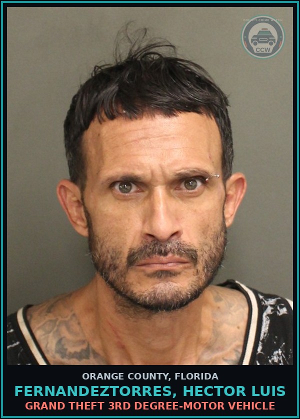 Booking mugshot of FERNANDEZTORRES, HECTOR LUIS in Orange County