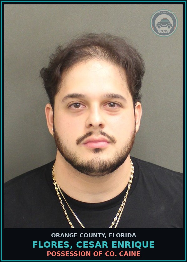 Booking mugshot of FLORES, CESAR ENRIQUE in Orange County