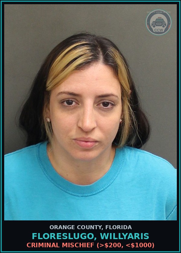 Booking mugshot of FLORESLUGO, WILLYARIS in Orange County