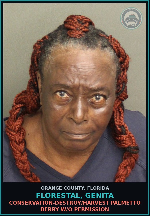 Booking mugshot of FLORESTAL, GENITA in Orange County