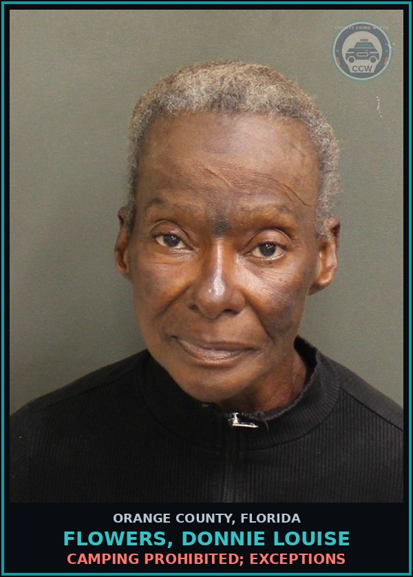 Booking mugshot of FLOWERS, DONNIE LOUISE in Orange County