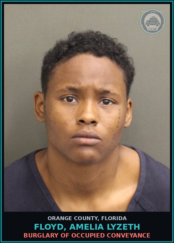 Booking mugshot of FLOYD, AMELIA LYZETH in Orange County