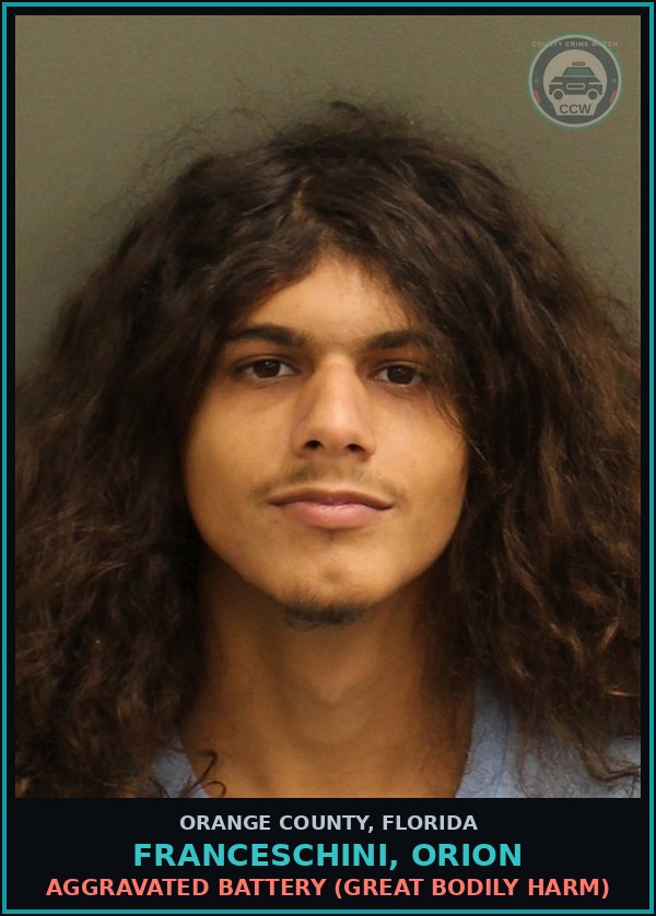 Booking mugshot of FRANCESCHINI, ORION in Orange County