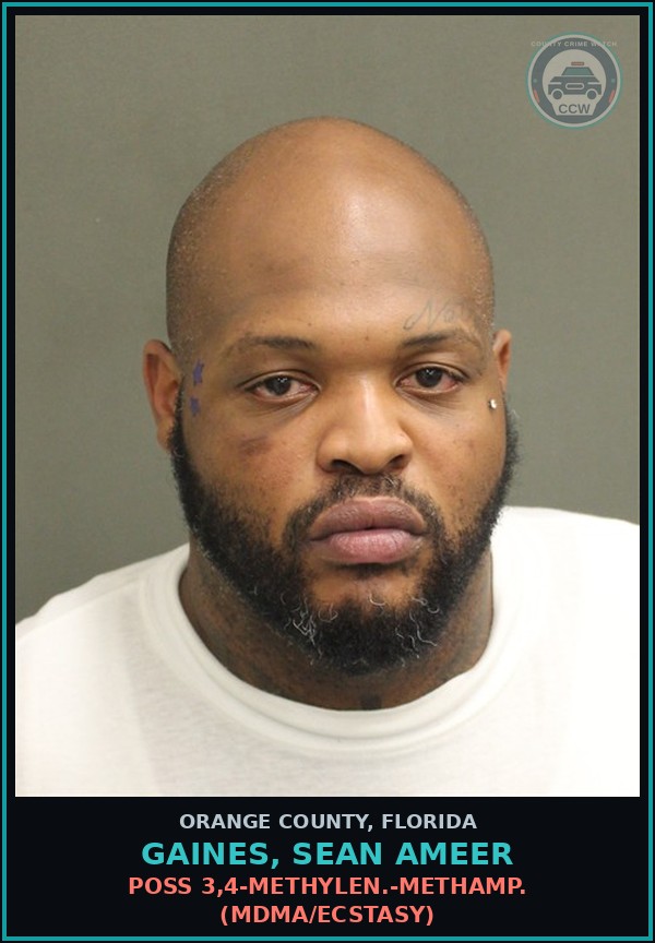 Booking mugshot of GAINES, SEAN AMEER in Orange County