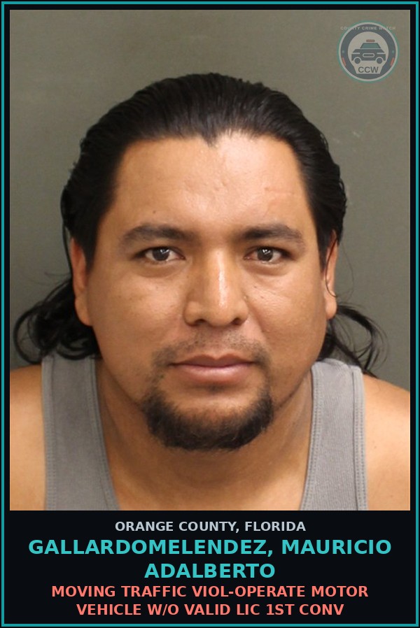 Booking mugshot of GALLARDOMELENDEZ, MAURICIO ADALBERTO in Orange County