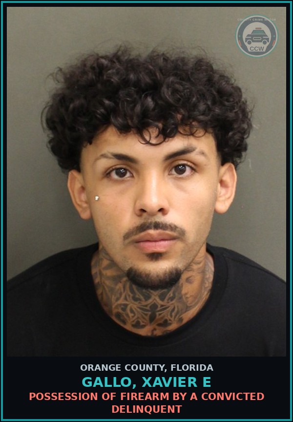 Booking mugshot of GALLO, XAVIER E in Orange County