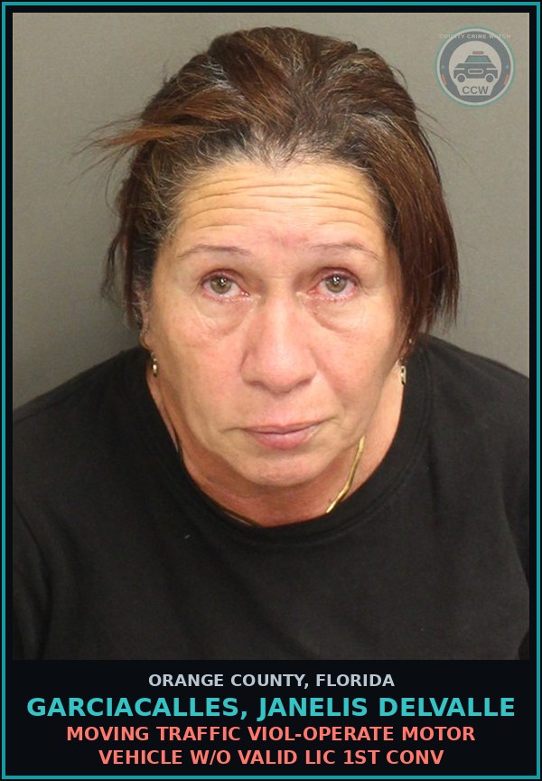 Booking mugshot of GARCIACALLES, JANELIS DELVALLE in Orange County