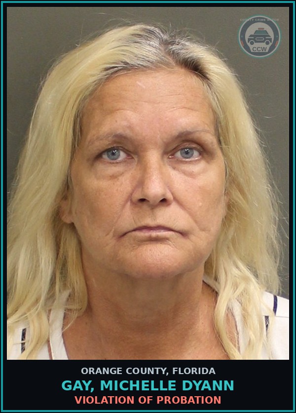Booking mugshot of GAY, MICHELLE DYANN in Orange County