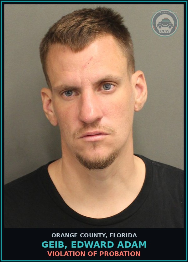 Booking mugshot of GEIB, EDWARD ADAM in Orange County