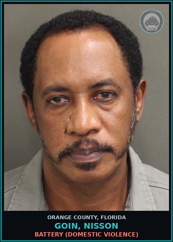Booking mugshot of GOIN, NISSON in Orange County