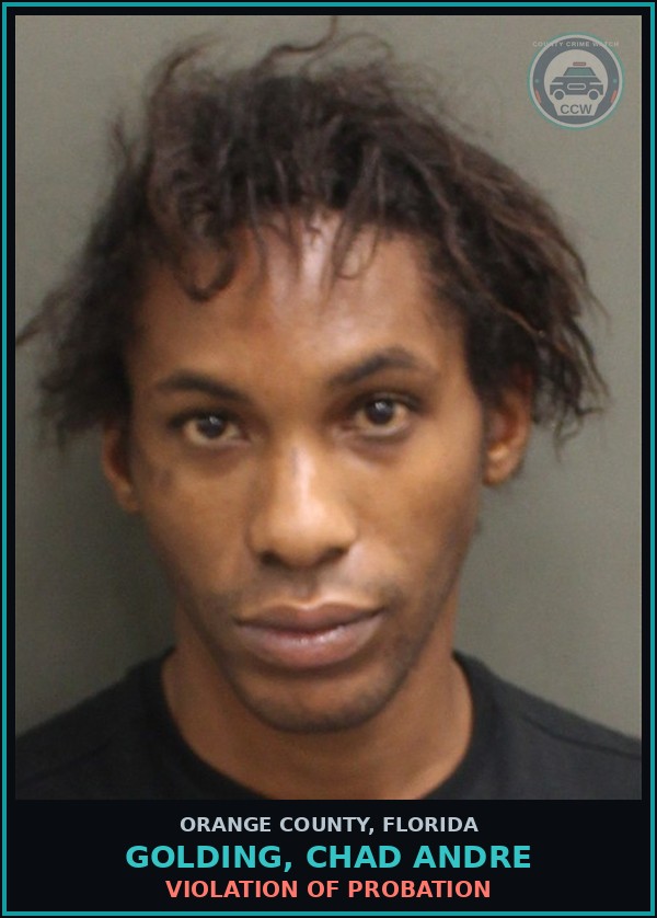 Booking mugshot of GOLDING, CHAD ANDRE in Orange County