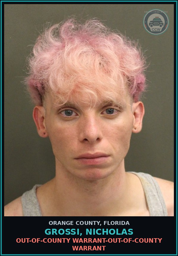 Booking mugshot of GROSSI, NICHOLAS in Orange County