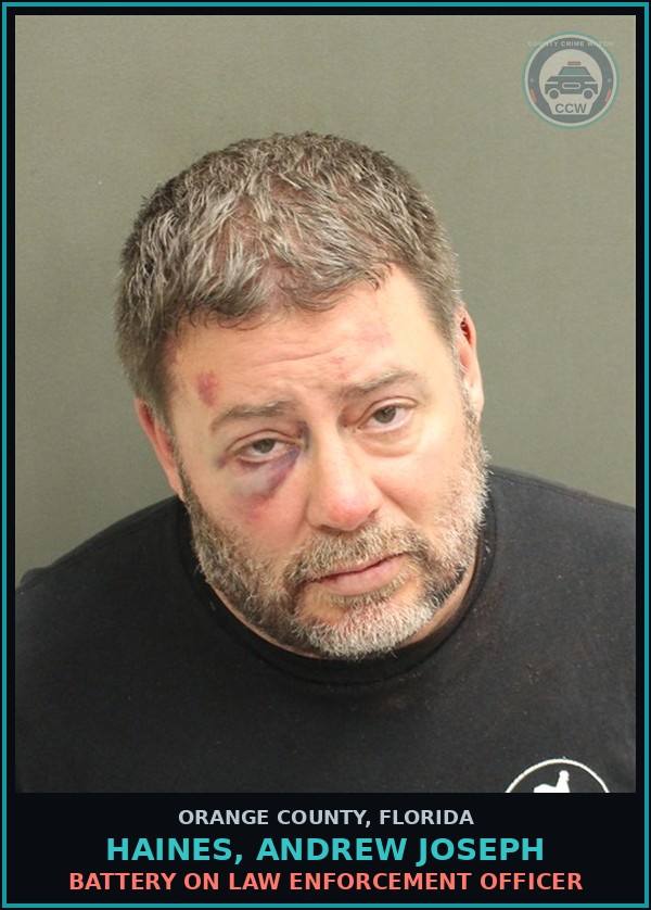 Booking mugshot of HAINES, ANDREW JOSEPH in Orange County