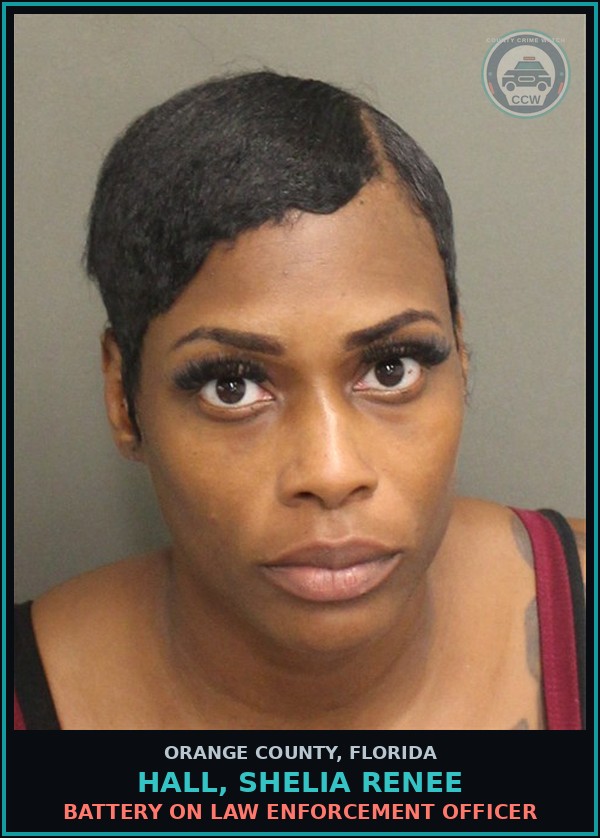 Booking mugshot of HALL, SHELIA RENEE in Orange County