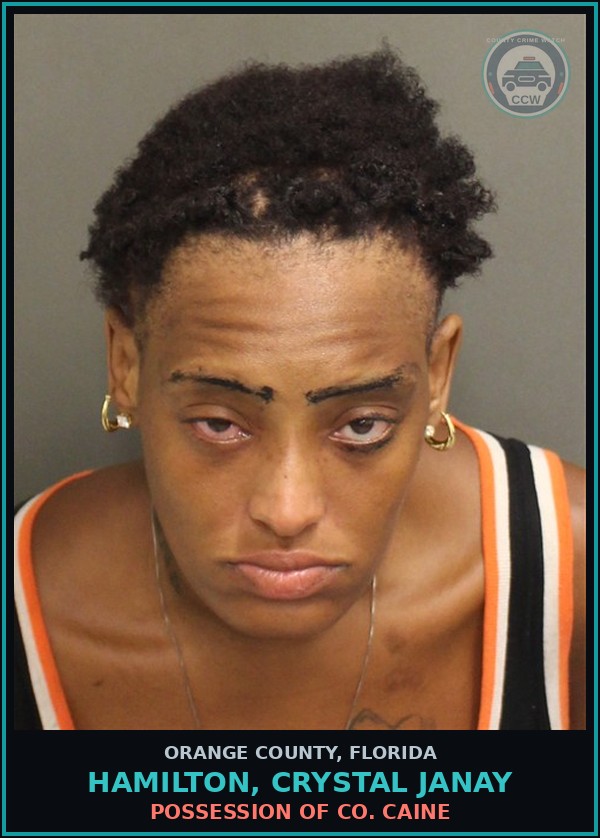 Booking mugshot of HAMILTON, CRYSTAL JANAY in Orange County