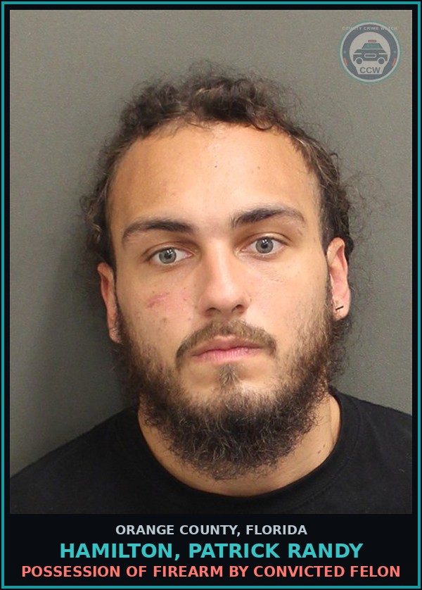 Booking mugshot of HAMILTON, PATRICK RANDY in Orange County