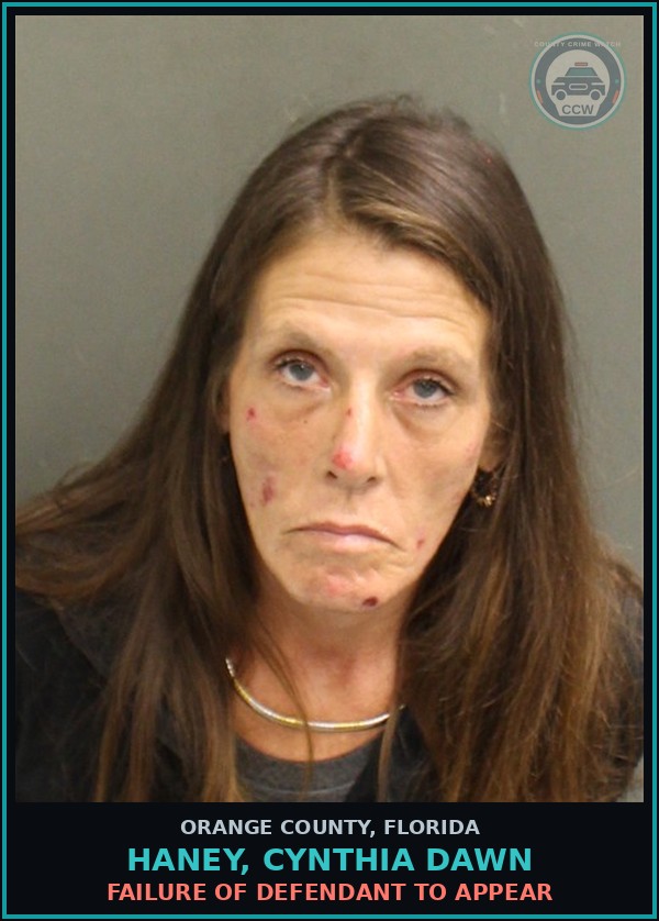 Booking mugshot of HANEY, CYNTHIA DAWN in Orange County