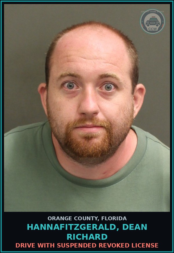 Booking mugshot of HANNAFITZGERALD, DEAN RICHARD in Orange County