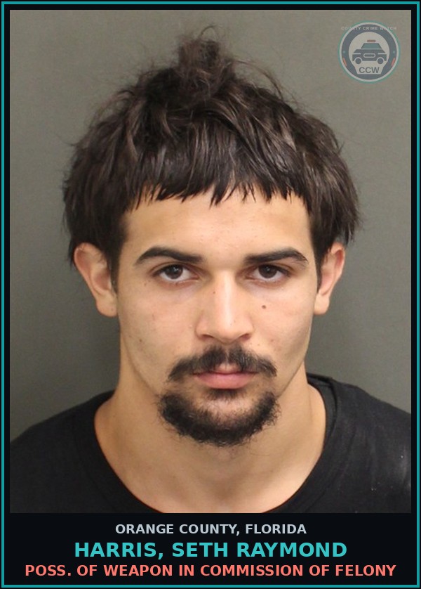 Booking mugshot of HARRIS, SETH RAYMOND in Orange County