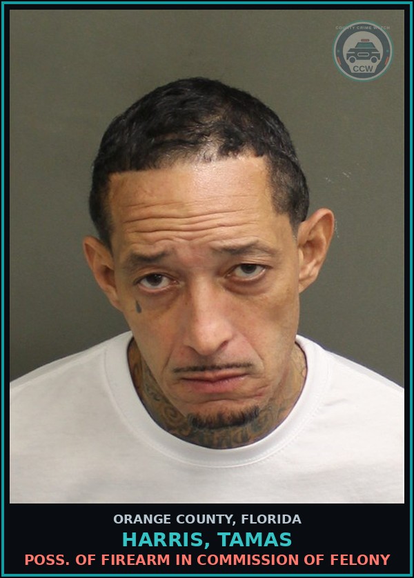 Booking mugshot of HARRIS, TAMAS in Orange County