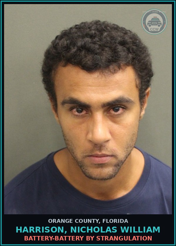 Booking mugshot of HARRISON, NICHOLAS WILLIAM in Orange County