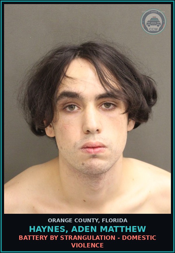 Booking mugshot of HAYNES, ADEN MATTHEW in Orange County